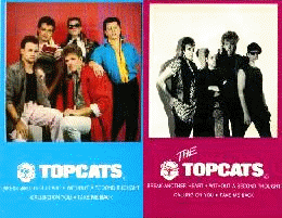 Topcat EP Cover